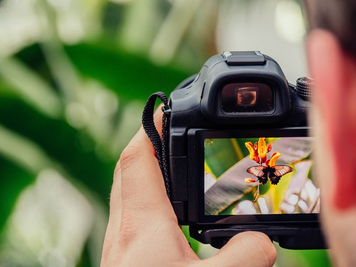 Basic Digital Photography Class